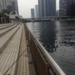 【釣り場】豊海運動公園（東京都中央区）