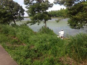 釣仙郷こと水元公園で釣りをする人