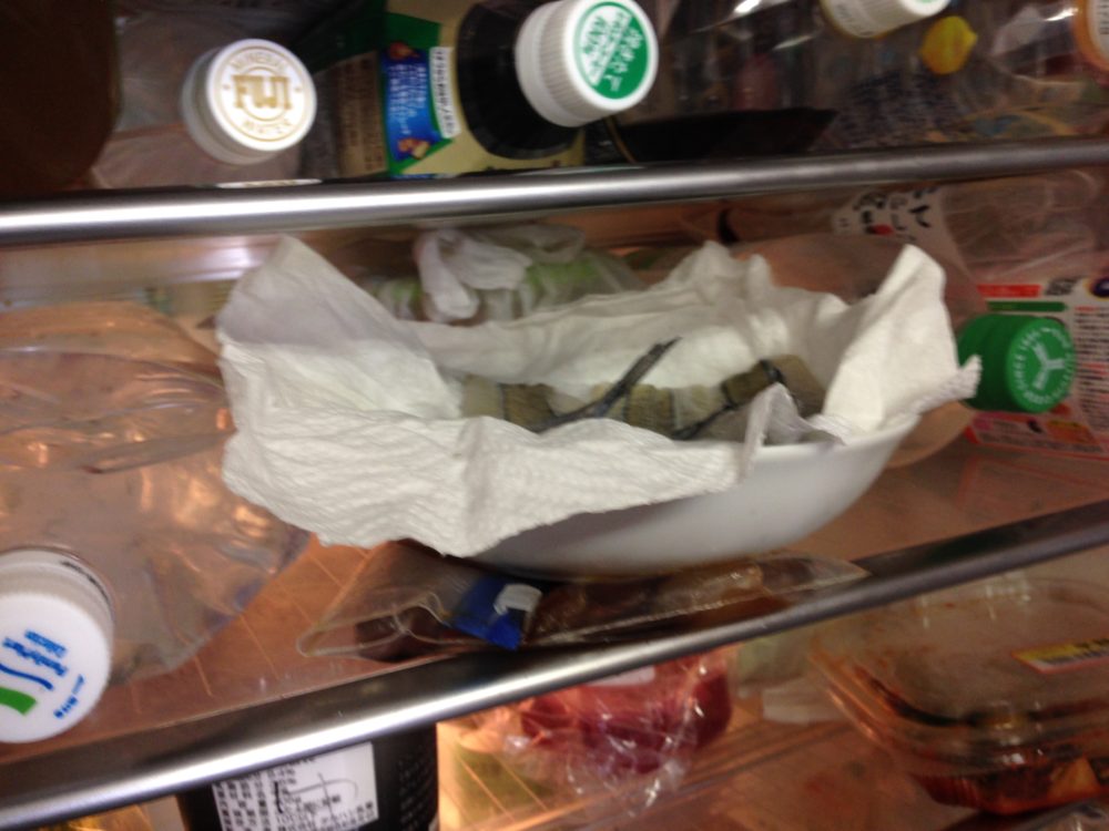 釣魚料理 釣ったサヨリを冷蔵庫で一夜干しにしてみた ツリーバ