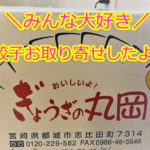【お取り寄せ♪】宮崎県の”ぎょうざの丸岡”を注文したよ！10分でビールが冷える裏技も実践したよ♪