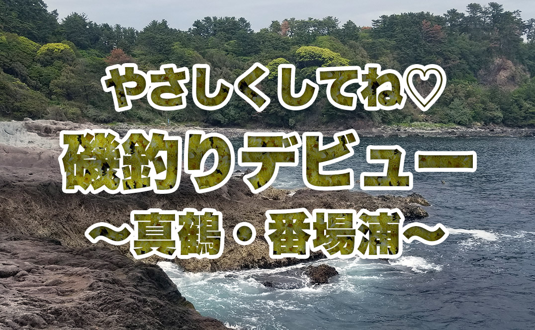 神奈川の釣り 真鶴の磯 番場浦で磯釣り初体験 迫りくるマッチョ魚たち その果てに見たものは 神奈川 真鶴 ツリーバ