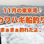 11月の寒空を切り裂いてしまえ！東京湾のカワハギ釣りに行ってきたよ♪五目っぽくいろいろ釣れたけど結局もらったよ♪